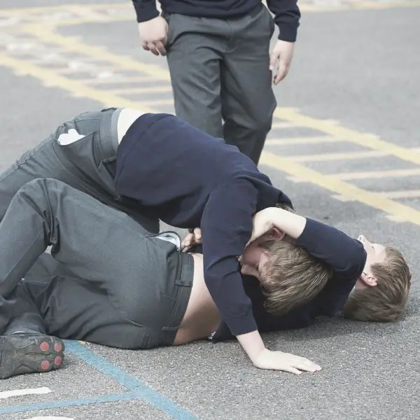 Guys on the ground fighting